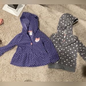 Winter hoodies- toddler girls